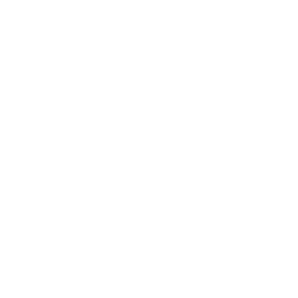 Waki Chips